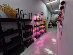 Excalibur Centre (D14), Factory #571623131
